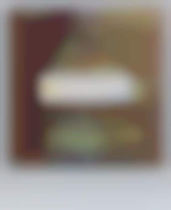 Existential Computer Error Messages