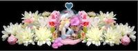Femininely Morbid Still Lifes Image 3