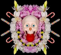 Femininely Morbid Still Lifes Image 4