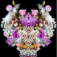 Femininely Morbid Still Lifes Image 5