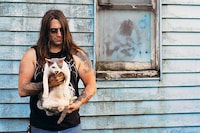 Heavy Metal Feline Books Image 5