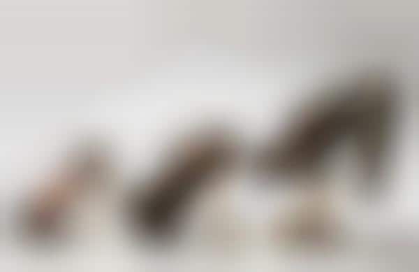Cock-Inspired Stilettos
