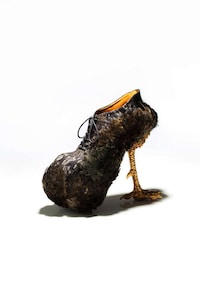 Cock-Inspired Stilettos Image 3