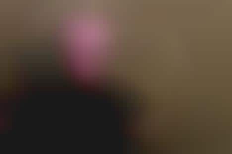 The Selfies Seen 'Round the World