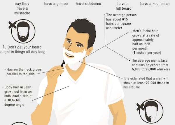 Male Shaving Infographics