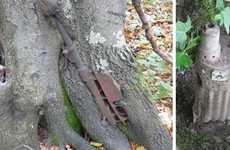 Arboreal War Photography