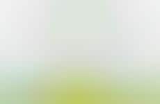 Tree-Planting Search Engines