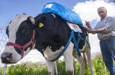 Fart-Capturing Cow Backpacks