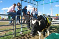 Fart-Capturing Cow Backpacks Image 2
