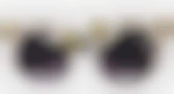 Designer Insect Eyewear