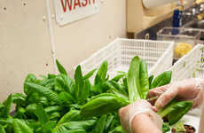 Indoor Reclaimed Farms