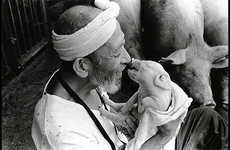 Sweet Swine Photography