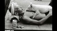 Sweet Swine Photography Image 5