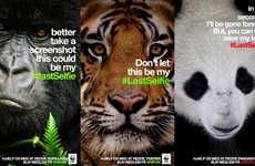 Disappearing Animal Campaigns
