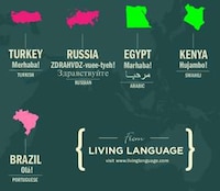 International Greeting Infographics Image 3