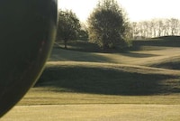 Orb-Shaped Treehouses Image 2