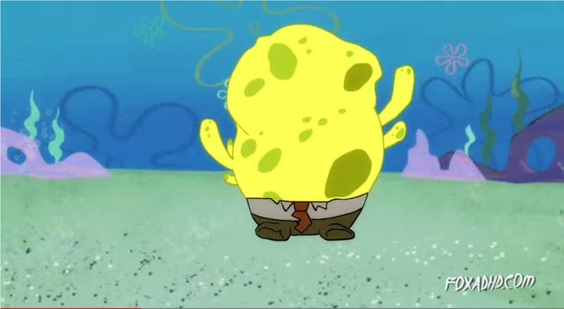 Scientifically Accurate Cartoon Sponges