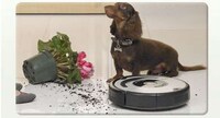 Robot Pet Vacuums Image 2