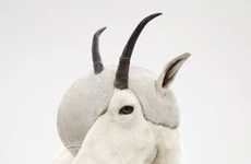 8 Animal Mashups