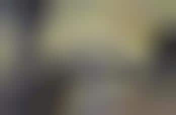 Pareidolia Photography