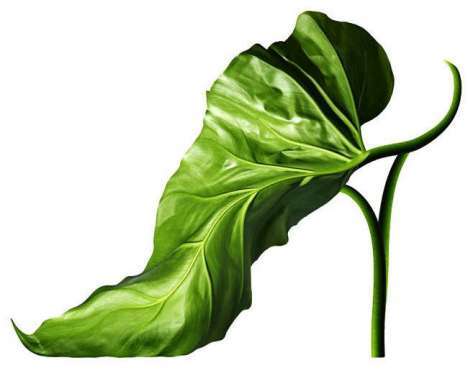 35 Design Trends Inspired by Plants