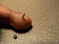 Random Piercings Image 2