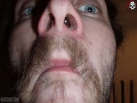 Random Piercings Image 6