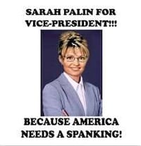 Cashing in on Palin Fever Image 2