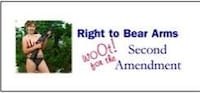 Cashing in on Palin Fever Image 3
