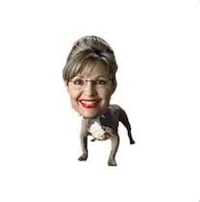 Cashing in on Palin Fever Image 4