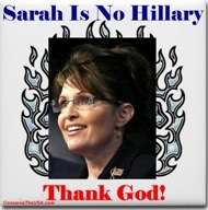Cashing in on Palin Fever Image 5