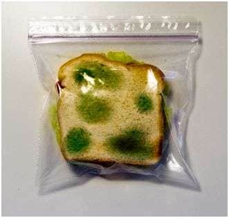 Anti-Theft Lunch Bags