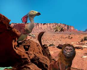 99 Graphic Insights into the Future