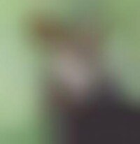 Rare Animals Captured on Film Image 1