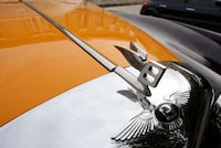 Luxury Branded Cars Image 7