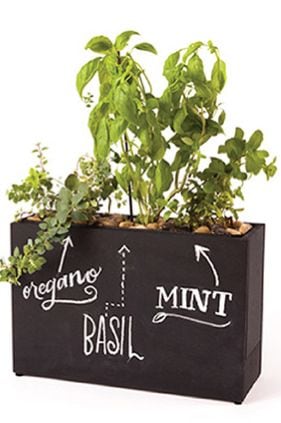 Plug-In Planters