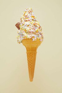 British Ice Cream Portraits Image 5