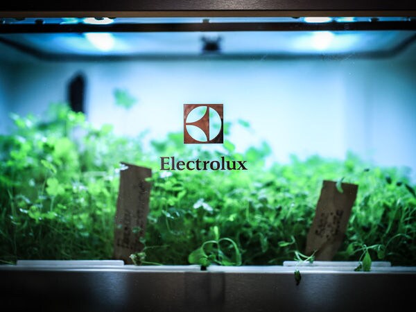 Self-Replenishing Home Gardens