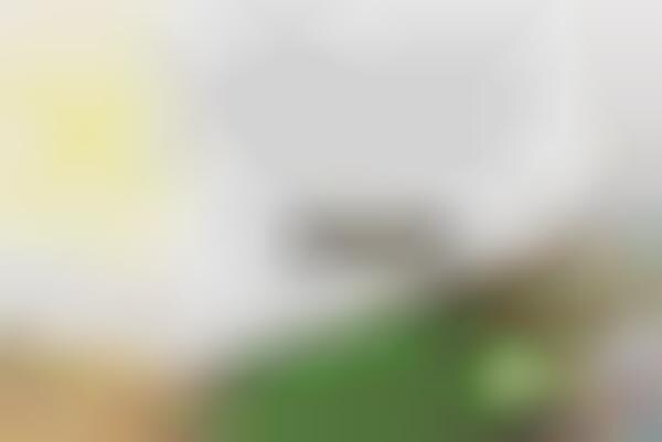Eco E-Commerce Rewards