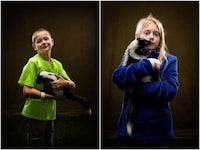 De-Stunk Skunk Portraits Image 3