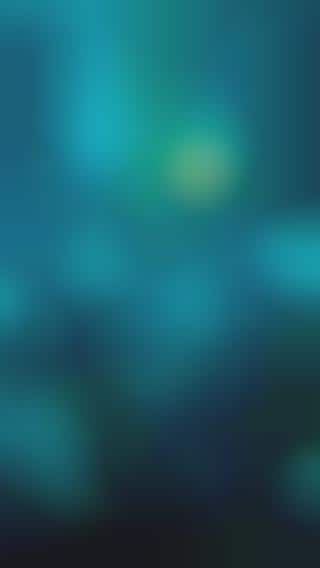 Prom-Budgeting Apps