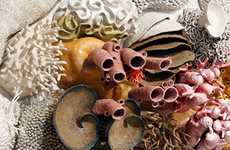 Ceramic Coral Reefs