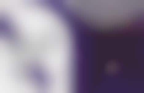 Purple Dreamland Editorials
