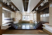 Glazed Waterless Swimming Pools Image 2