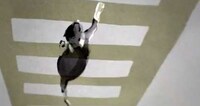 Iconic Watercolor Felines Image 3