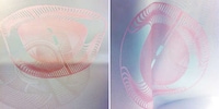 Biocultured Colored Scarves Image 2