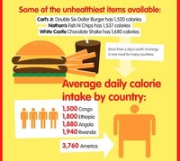 Fast Food Infographics Image 7