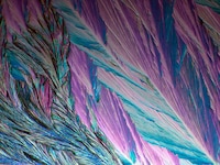 Microscopic Object Photography Image 2