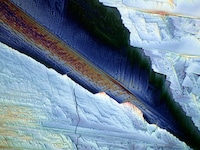 Microscopic Object Photography Image 3