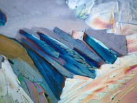 Microscopic Object Photography Image 5